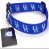 All Star Dogs Blue Kentucky Wildcats Ribbon Dog Collar - Medium view 1