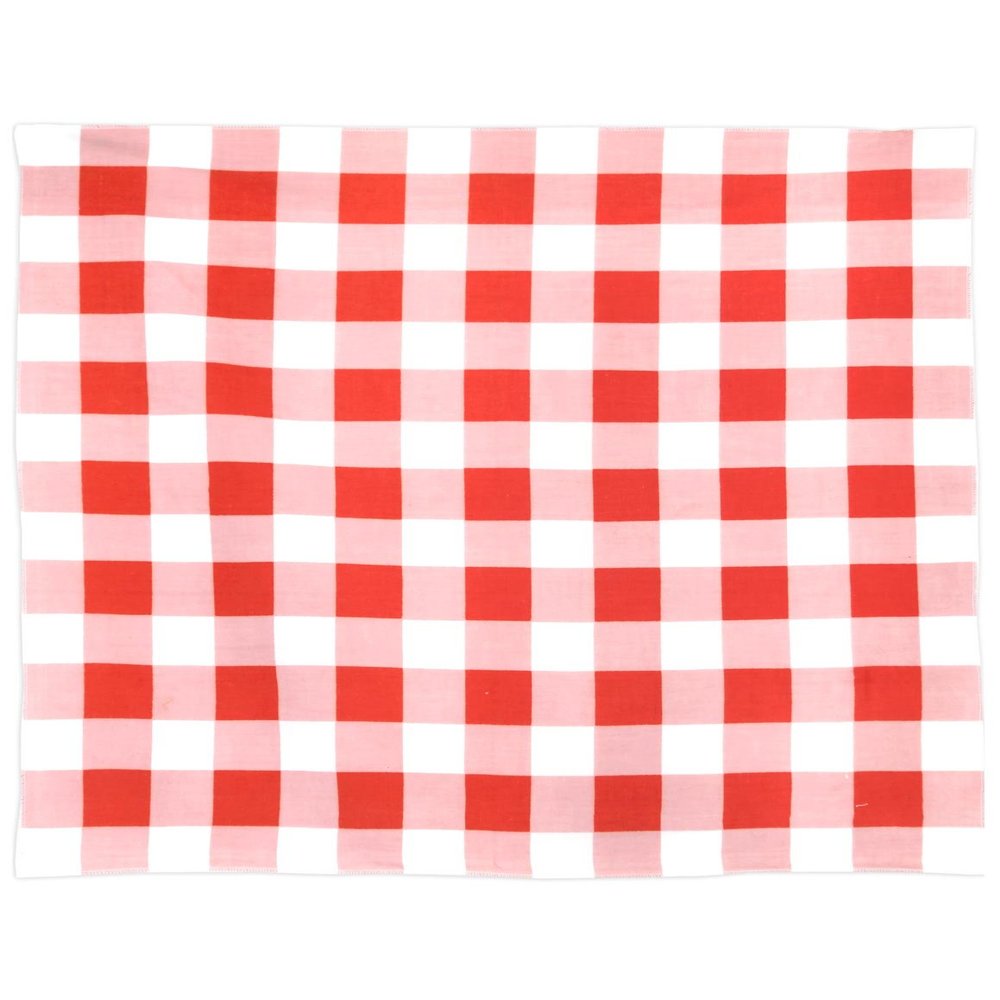 Sunshine Joy Gingham Checker Bandana 22x22 Inches - Red