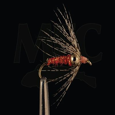 Montana Fly Company BH Soft Hackle - MO #14, 1/2 DOZ