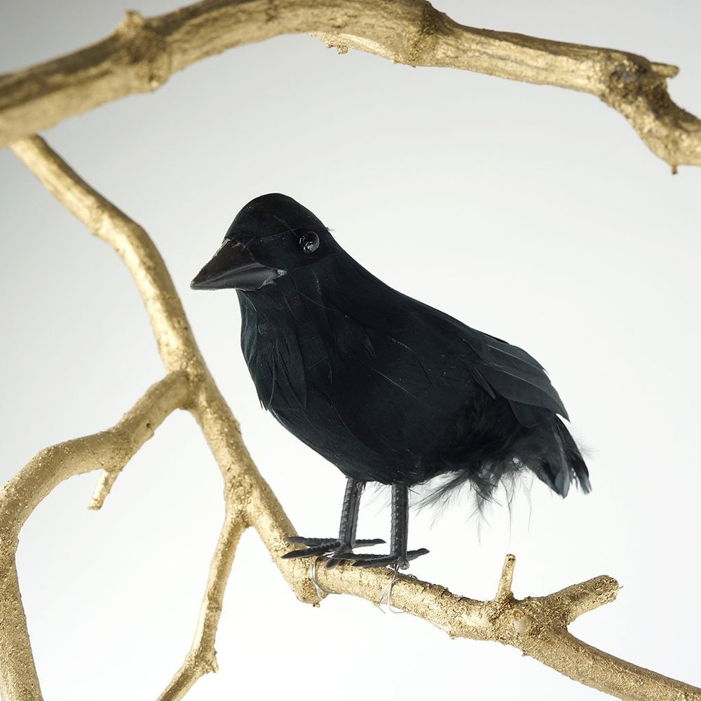 ZUCKER Black Feather Crow Halloween Decoration - 6 inch Tall Raven Decor 1pc Bird Figure