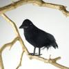 ZUCKER Black Feather Crow Halloween Decoration - 6 inch Tall Raven Decor 1pc Bird Figure view 1