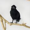 ZUCKER Black Feather Crow Halloween Decoration - 6 inch Tall Raven Decor 1pc Bird Figure view 2