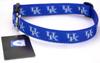 All Star Dogs Blue Kentucky Wildcats Ribbon Dog Collar - Small view 1