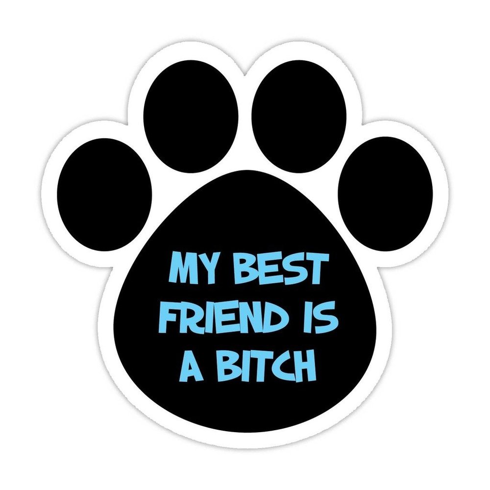 (5 Stickers Combo Deal) My Best Friend is A Bitch Bumper Sticker Vinyl Decal 5"X 5"