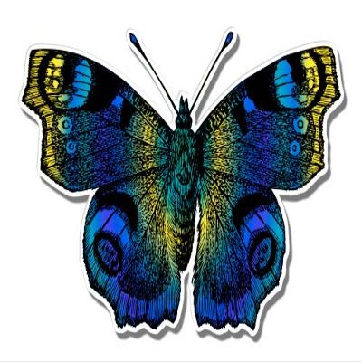 Butterfly Beautiful Blue - 3" Vinyl Sticker - for Car Laptop I-Pad Phone Helmet Hard Hat - Waterproof Decal