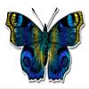 Butterfly Beautiful Blue - 3" Vinyl Sticker - for Car Laptop I-Pad Phone Helmet Hard Hat - Waterproof Decal view 1