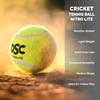 DSC DTBN1002 Tennis Cricket Ball (Red) view 2
