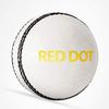 DSC Red Dot Leather Cricket Ball (White) view 2