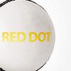 DSC Red Dot Leather Cricket Ball (White) view 3