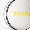 DSC Red Dot Leather Cricket Ball (White) view 4
