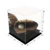 Better Display Cases Versatile Acrylic Display Case - Medium Square Box with Black Risers and Mirror 11" x 11" x 11" (A001-BR) view 2