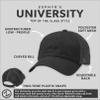 NCAA Zephyr West Virginia Mountaineers Mens University Relaxed Hat, Adjustable, Team Color/Stone view 3