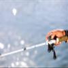 FAVORITE White Bird Powered Casting Rod view 2