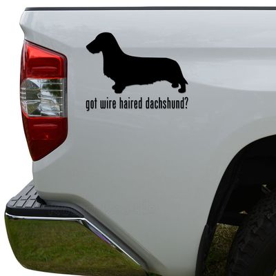 Got Wired Haired Dachshund Dog Pet Die Cut Vinyl Decal Sticker For Car Truck Motorcycle Window Bumper Wall Decor Size- [8 inch/20 cm] Wide Color- Matte White