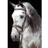 Covalliero Classic Leather Snaffle Bridle, Black view 3