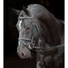 Covalliero Classic Leather Snaffle Bridle, Black view 4