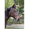 Covalliero Classic Leather Snaffle Bridle, Black, Pony view 2