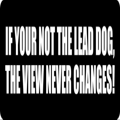 1080 Graphics 3 - If You're Not The Lead Dog Hard Hat/Biker Helmet Sticker BS 1288