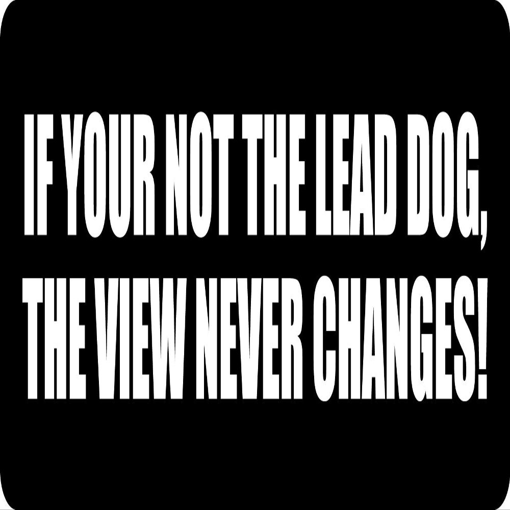 1080 Graphics 3 - If You're Not The Lead Dog Hard Hat/Biker Helmet Sticker BS 1288