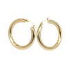 316L stainless steel jewelry earrings two color female fashion earrings Hot Women (gold Diameter 30mm) view 1