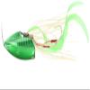 Major Craft JRT-60 Lure, Metal Jig, Jigglaber, Through Tai Rabbit Type, 2.1 oz (60 g), #209 Green view 1