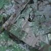Camo Netting for Decoration view 2