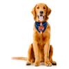 Littlearth NCAA Auburn Tigers Pet Bandana, Team Color, Small view 3