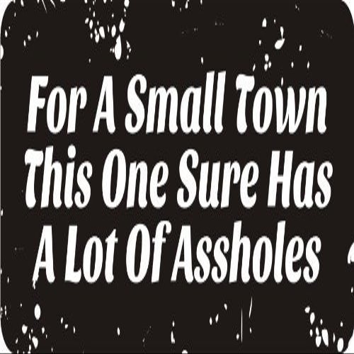 1080 Graphics 3 - for A Small Town This One Sure Has A Lot of A$$Holes 1 1/4" x 3" Hard Hat Biker Helmet Stickers Bs150