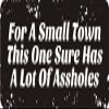 1080 Graphics 3 - for A Small Town This One Sure Has A Lot of A$$Holes 1 1/4" x 3" Hard Hat Biker Helmet Stickers Bs150