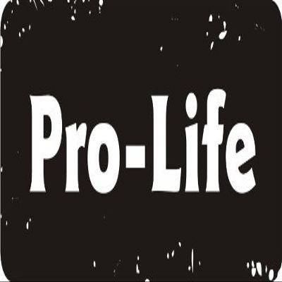 1080 Graphics 3 - Pro-Life 1 1/4" x 3" Hard Hat Biker Helmet Stickers Bs468