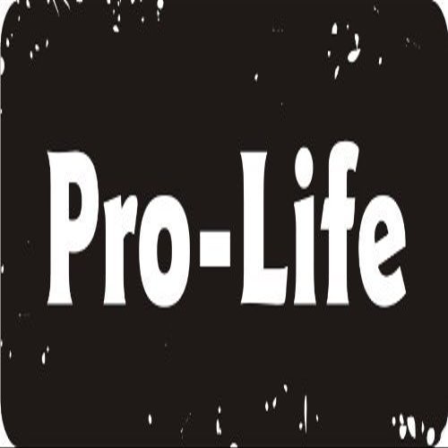 1080 Graphics 3 - Pro-Life 1 1/4" x 3" Hard Hat Biker Helmet Stickers Bs468