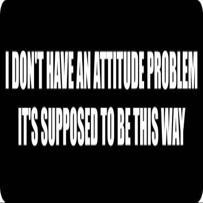 1080 Graphics 3 - I Don't Have an Attitude Problem Hard Hat/Biker Helmet Sticker BS 907