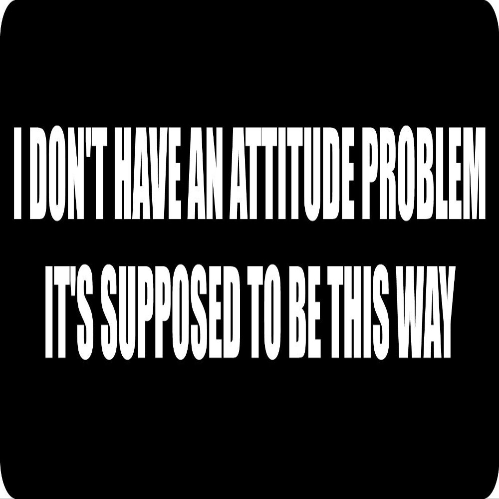 1080 Graphics 3 - I Don't Have an Attitude Problem Hard Hat/Biker Helmet Sticker BS 907