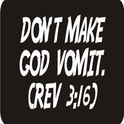 1080 Graphics 3 - Don't Make God Vomit. (rev 316) 1 1/4" x 3" Hard Hat Biker Helmet Stickers Bs127