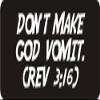 1080 Graphics 3 - Don't Make God Vomit. (rev 316) 1 1/4" x 3" Hard Hat Biker Helmet Stickers Bs127 view 1