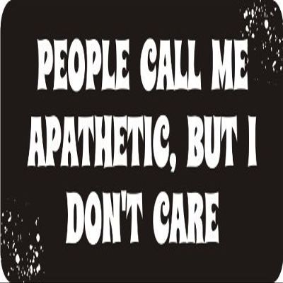 1080 Graphics 3 - People Call Me Apathetic, But I Don't Care 1 1/4" x 3" Hard Hat Biker Helmet Stickers Bs452