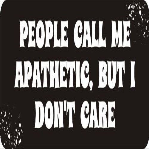 1080 Graphics 3 - People Call Me Apathetic, But I Don't Care 1 1/4" x 3" Hard Hat Biker Helmet Stickers Bs452