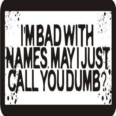 1080 Graphics 3 - I'm Bad with Names. May I Just Call You Dumb 1 1/4" x 3" Hard Hat Biker Helmet Stickers Bs311