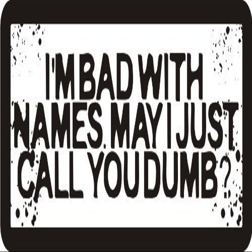 1080 Graphics 3 - I'm Bad with Names. May I Just Call You Dumb 1 1/4" x 3" Hard Hat Biker Helmet Stickers Bs311