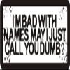 1080 Graphics 3 - I'm Bad with Names. May I Just Call You Dumb 1 1/4" x 3" Hard Hat Biker Helmet Stickers Bs311 view 1