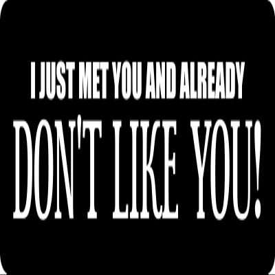1080 Graphics 3 - I Just Met Hard Hat/Biker Helmet Sticker BS 1263