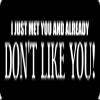 1080 Graphics 3 - I Just Met Hard Hat/Biker Helmet Sticker BS 1263 view 1