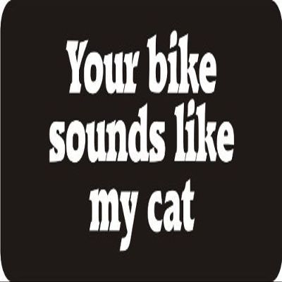 1080 Graphics 3 - Your Bike Sounds Like My Cat 1 1/4" x 3" Hard Hat Biker Helmet Stickers Bs608