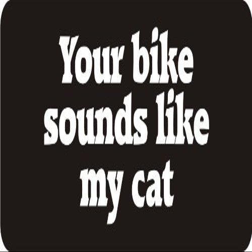 1080 Graphics 3 - Your Bike Sounds Like My Cat 1 1/4" x 3" Hard Hat Biker Helmet Stickers Bs608