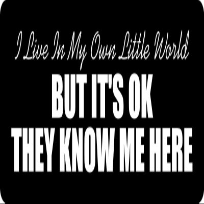 1080 Graphics 3 - I Live in My Own Little World Hard Hat/Biker Helmet Sticker BS 1266