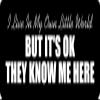 1080 Graphics 3 - I Live in My Own Little World Hard Hat/Biker Helmet Sticker BS 1266
