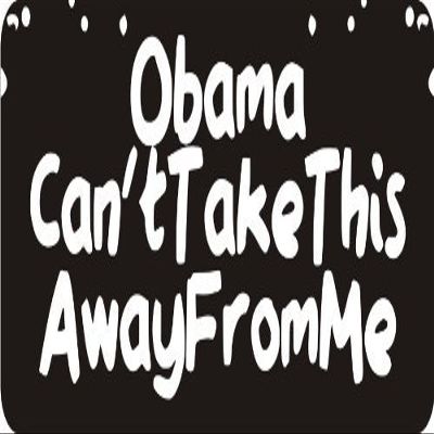 1080 Graphics 3 - Obama Can't Take This Away from Me 1 1/4" x 3" Hard Hat Biker Helmet Stickers Bs438