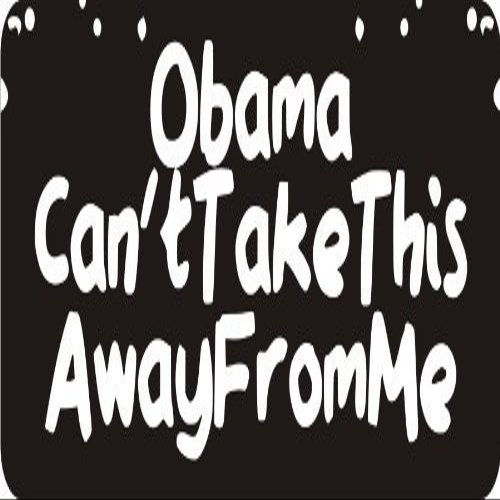 1080 Graphics 3 - Obama Can't Take This Away from Me 1 1/4" x 3" Hard Hat Biker Helmet Stickers Bs438