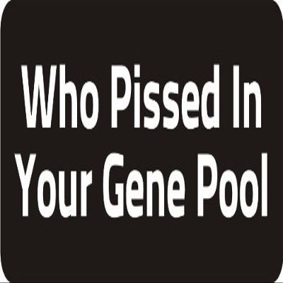 1080 Graphics 3 - Who Pissed in Your Gene Pool 1 1/4" x 3" Hard Hat Biker Helmet Stickers Bs582
