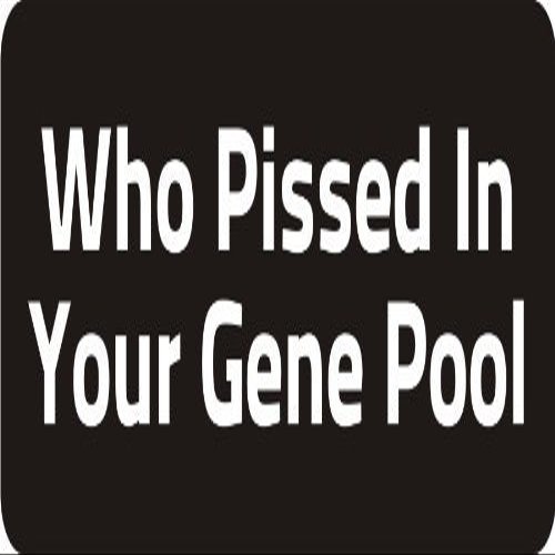 1080 Graphics 3 - Who Pissed in Your Gene Pool 1 1/4" x 3" Hard Hat Biker Helmet Stickers Bs582